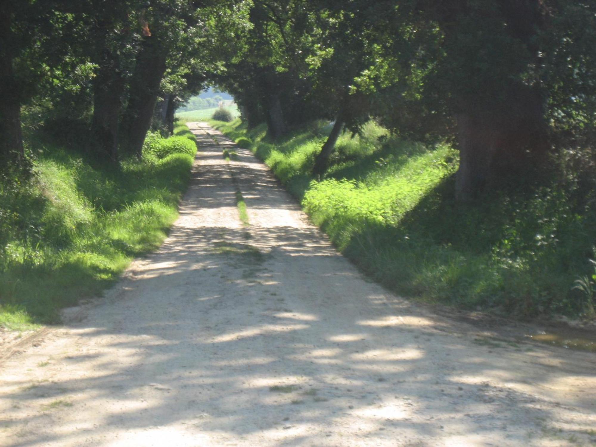 Bed and Breakfast Domaine A Marmande Berdoues Exterior foto