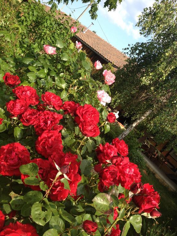 Bed and Breakfast Domaine A Marmande Berdoues Exterior foto