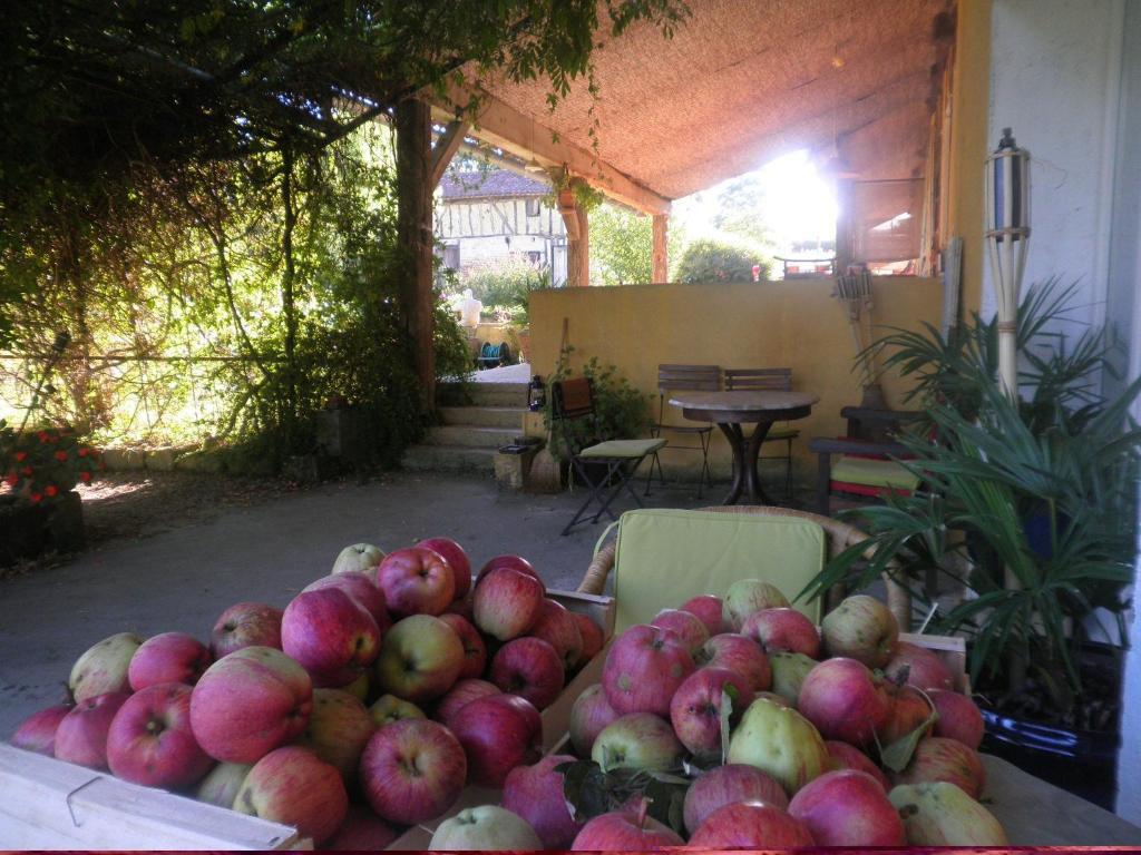 Bed and Breakfast Domaine A Marmande Berdoues Exterior foto